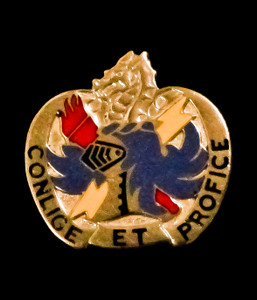 202nd Military Intelligence Battalion Unit Crest (Conlige Et Profice) 202nd Military Intelligence Battalion Unit Crest (Conlige Et Profice)