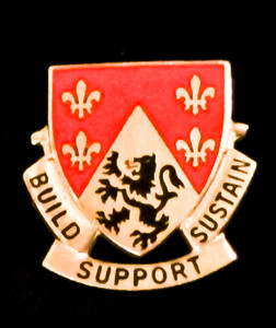 249th Engineer Battalion Unit Crest (Build Support Sustain) 249th Engineer Battalion Unit Crest (Build Support Sustain)