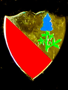 15th Support Battalion Unit Crest (No Motto) 15th Support Battalion Unit Crest (No Motto)