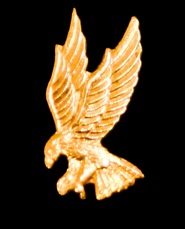 1st Aviation Brigade (Left) Unit Crest (No Motto)