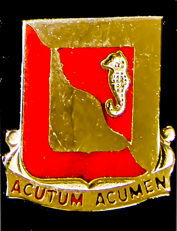 19th Engineer Battalion Unit Crest (Acutum Acumen)