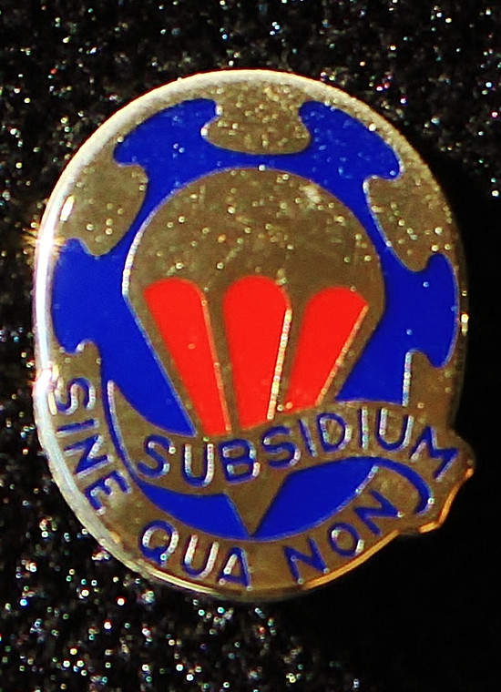 82nd Forward Support Battalion Unit Crest (Subsidium Sine Qua Non)