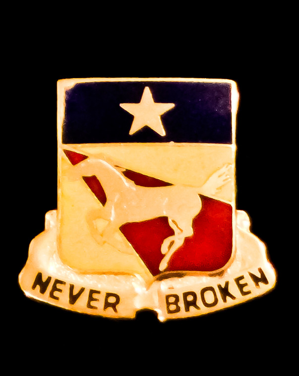 221st Cavalry Unit Crest (Never Broken)