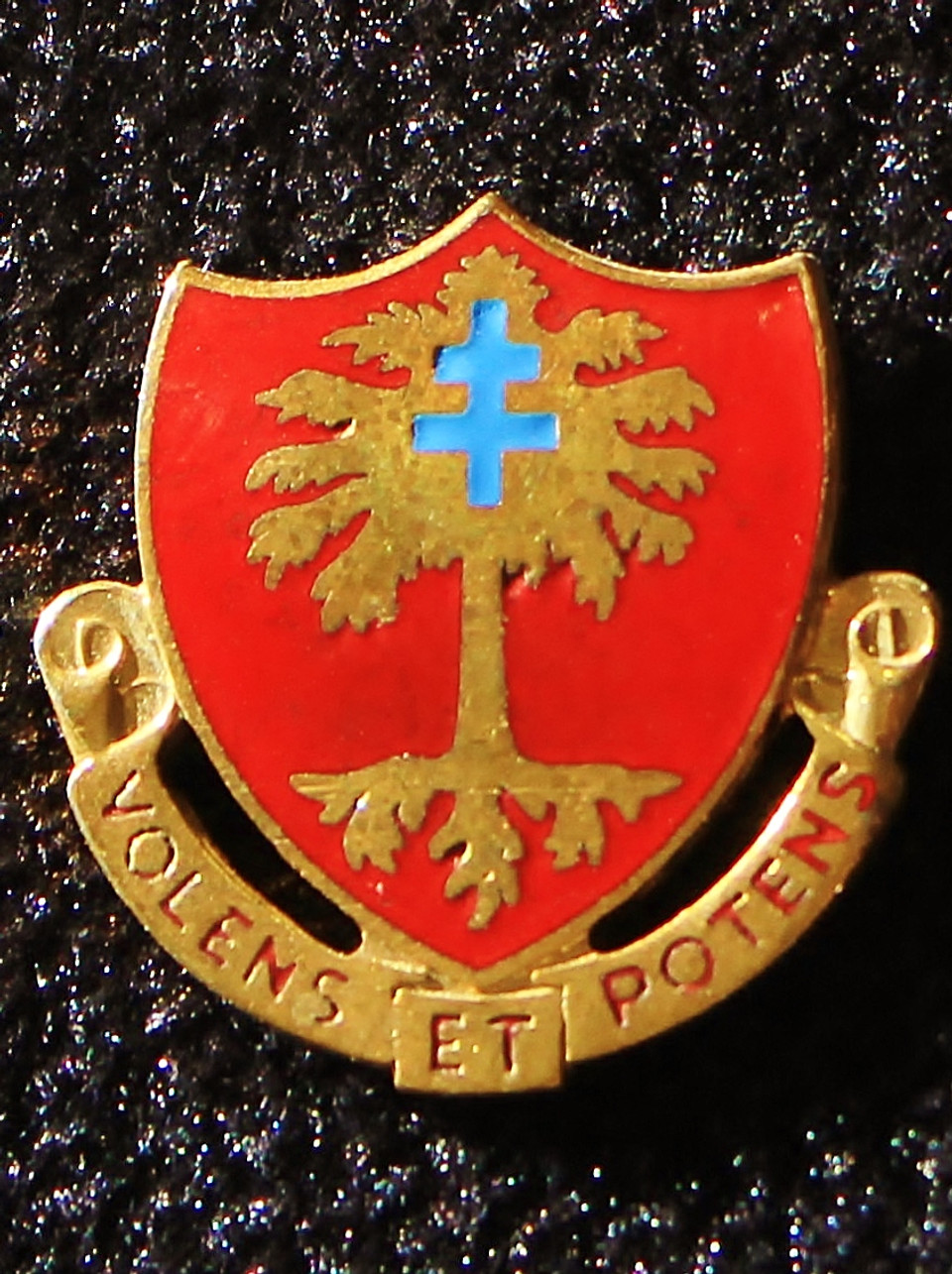320th Field Artillery Battalion Unit Crest (Volens Et Potens)