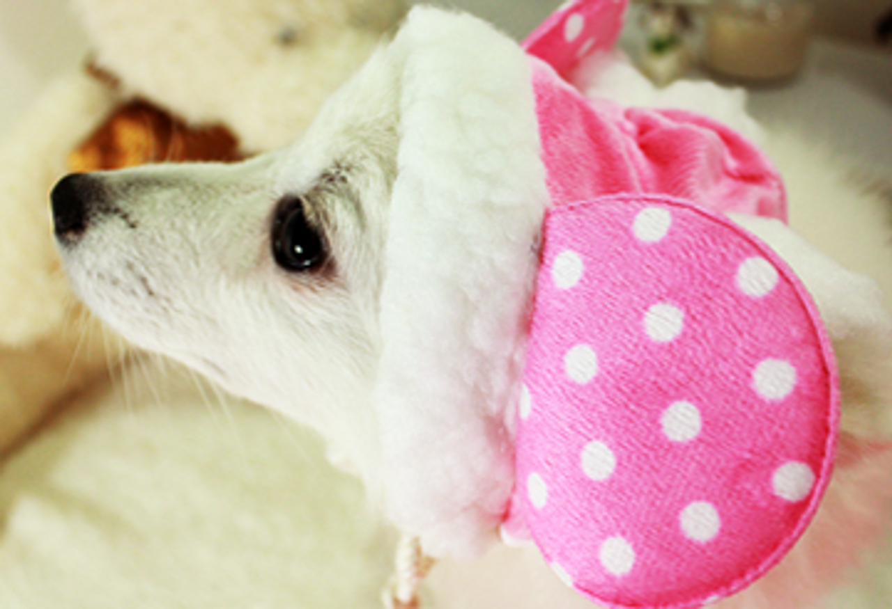 Luxury Designer Dog Cat Clothes Hat Cutie Mouse Winter Hat Fancy