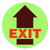 EXIT (No Boarder/Glow) - Floor Sign