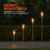 Solar Torch w/ Steel Pole | Nebo NEB-LTN-0007 Safety Supplies Canada