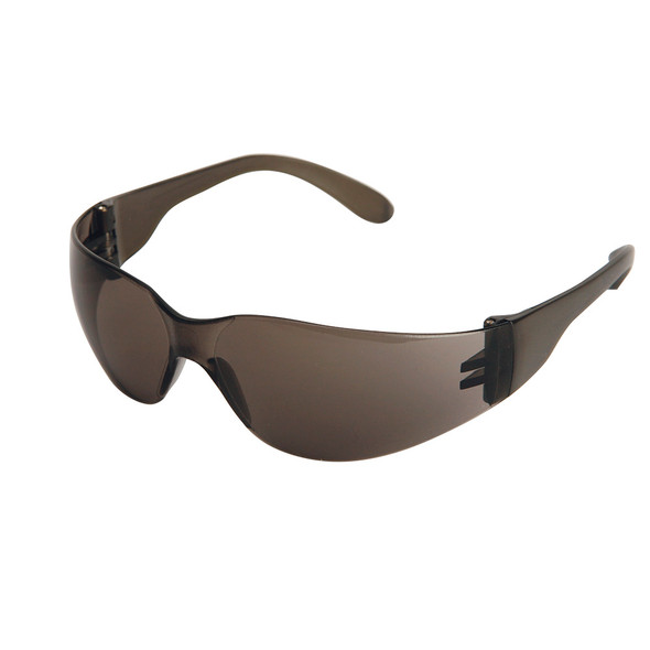 X300 Safety Glasses | PKG/12 | Sellstrom