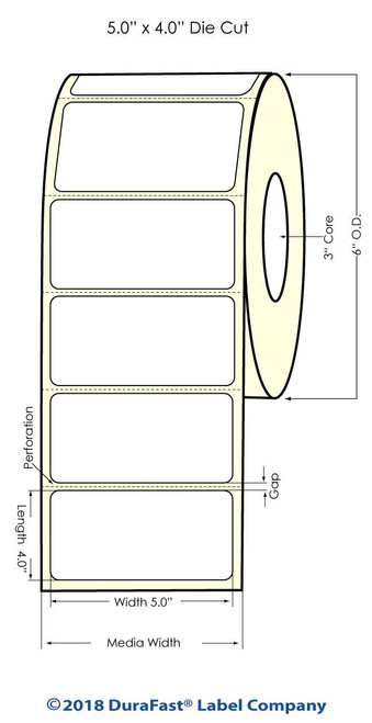 LX900 5" x 4" High Gloss Paper Inkjet Labels 600/Roll