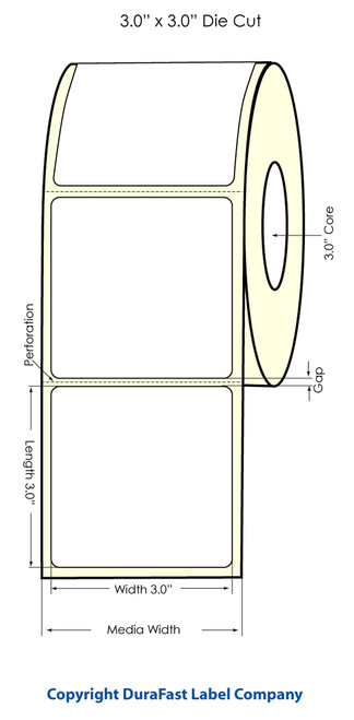 LX900 3" x 3" High Gloss Paper Inkjet Labels 800/Roll