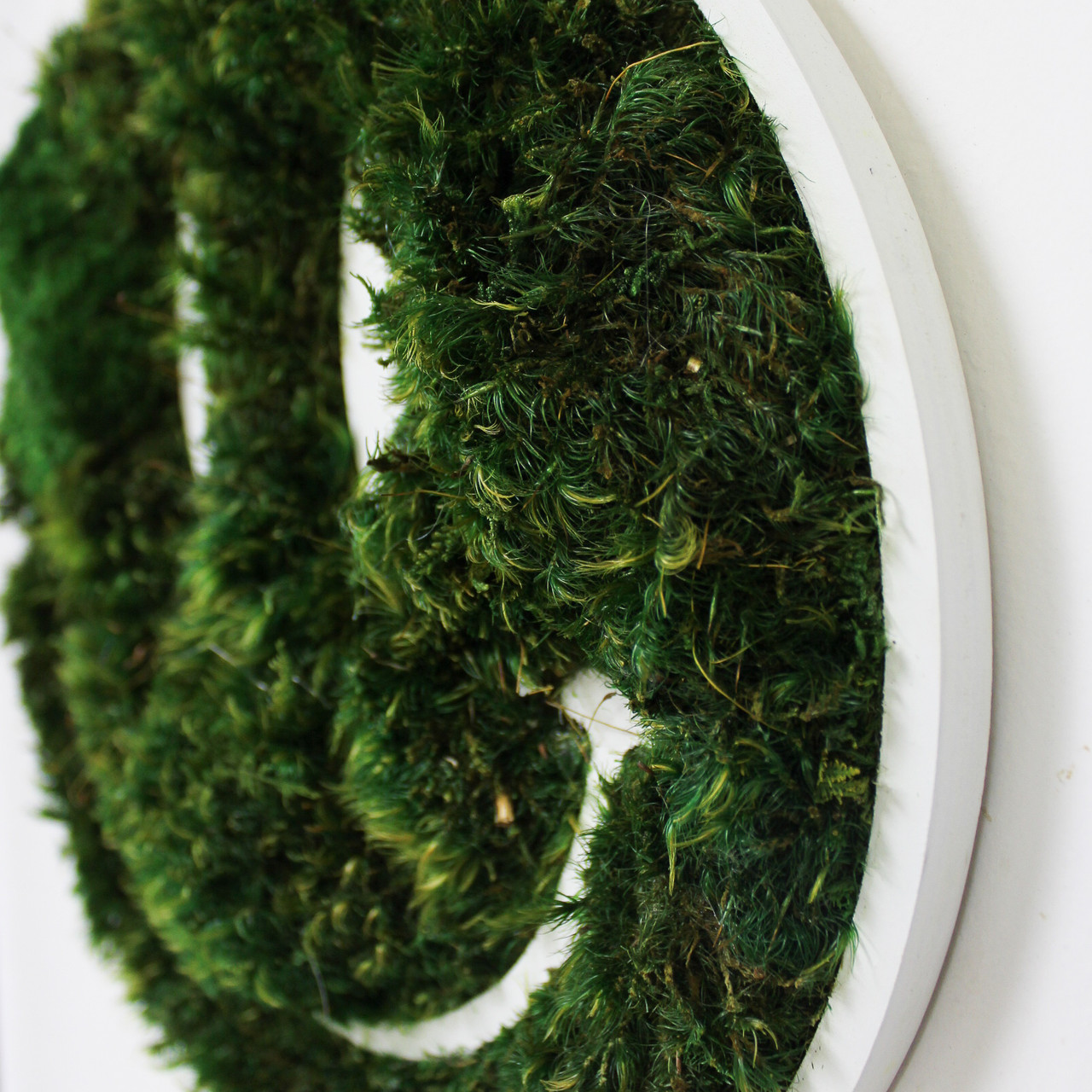 Smiley Face - Moss Wall Decor - PLANT THE FUTURE