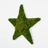 Moss Star - Christmas Special Edition