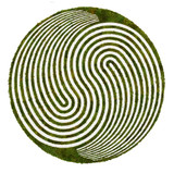 Optical Moss Art - Yin Yang