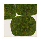 Moss Art - Abstract Collection No. 50 (8' H x 8' W)