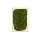 Moss Art - Abstract Collection No. 42 (3' x 2')
