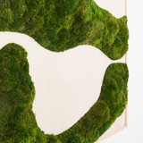 Moss Art - Abstract Collection No. 44 (3' x 2')