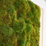 Moss Art - Abstract  Collection - No. 5 (6' H x 4' W)