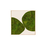 Moss Art - Abstract Series No. 031 (4' x 4') 