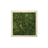 Moss Art - Abstract  Collection - No. 9 (4' H x 4' W)