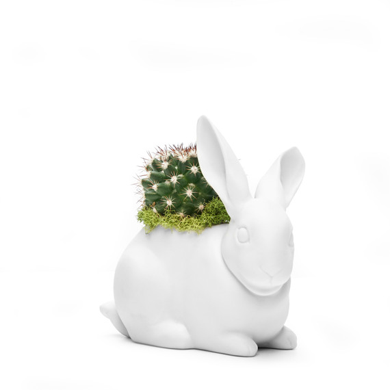 Lladró - Bunny with Cactus