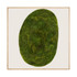 Moss Art - Abstract Series No. 014 (8' x 8')
