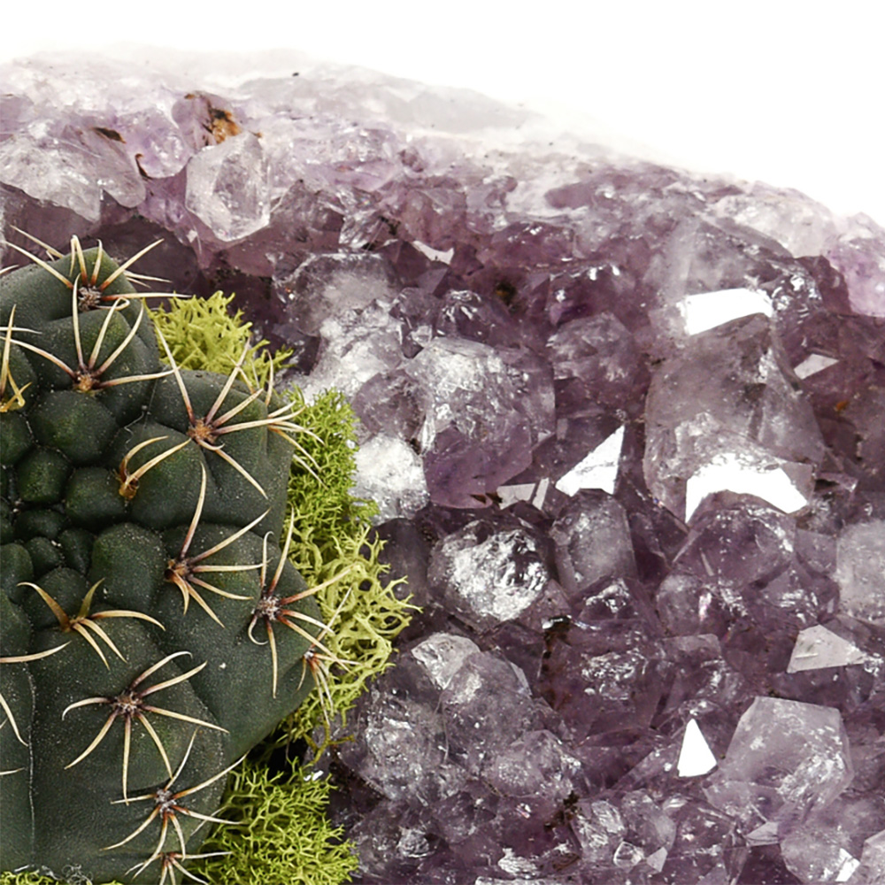 Amethyst Crystal with Cactus (5" H x 5" W)
