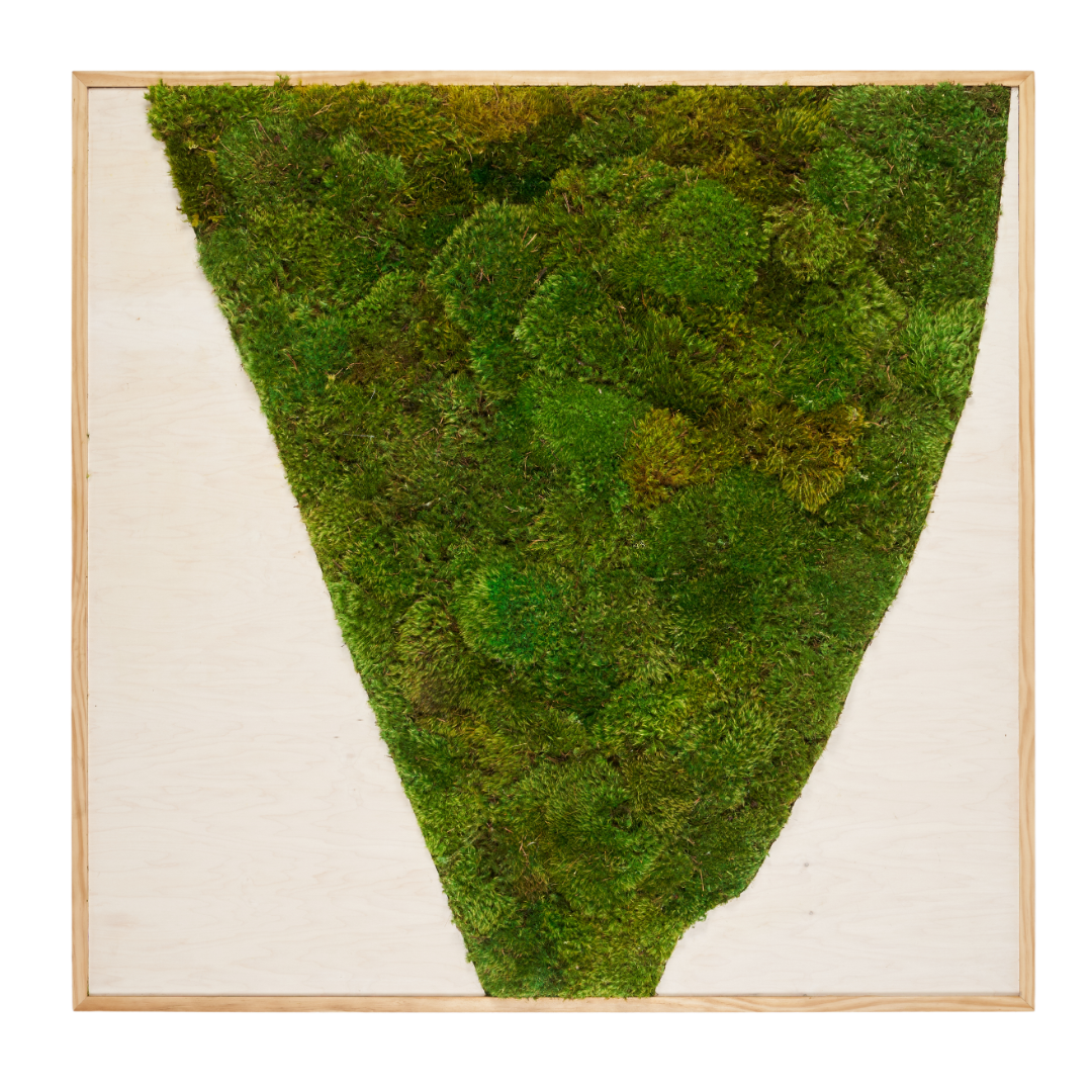 Moss Art - Abstract Collection No. 2 (47" H x 47" W)