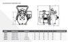 Pentair Onga Petrol Firefighter Twin Stage with Mounting Plate Electric Start- BM65HE Dimentional Drawing