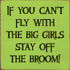 If you can't fly with the big girls stay off the broom!