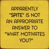 Apparently "Spite" Is Not An Appropriate Answer To "What Motivates You?" | Funny Wood  Signs | Sawdust City Wood Signs Wholesale