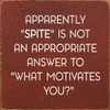 Apparently "Spite" Is Not An Appropriate Answer To "What Motivates You?" | Funny Wood  Signs | Sawdust City Wood Signs Wholesale