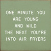 One Minute You Are Young And Wild The Next You're Into Air Fryers | Funny Wooden Signs | Sawdust City Wood Signs Wholesale