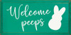 Welcome Peeps |  Wooden Spring Signs | Sawdust City Wood Signs Wholesale