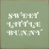 Sweet Little Bunny |  Wooden Easter Signs | Sawdust City Wood Signs Wholesale