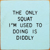 The Only Squat I'm Used to Doing Is Diddly | Funny Wood Signs | Sawdust City Wood Signs Wholesale