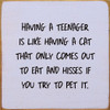 Having A Teenager Is Like Having A Cat That Only Comes Out... | Funny Wood Signs | Sawdust City Wood Signs Wholesale