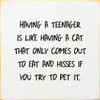 Having A Teenager Is Like Having A Cat That Only Comes Out... | Funny Wood Signs | Sawdust City Wood Signs Wholesale