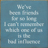 We've Been Friends For So Long I Can't Remember Which One... | Funny Wood Signs | Sawdust City Wood Signs Wholesale