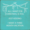 Wholesale Wood Sign: All I want for Christmas is you.