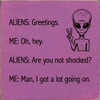 Wholesale Wood Sign - Aliens: Greetings. Me: Oh hey...