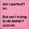 Funny Wholesale Sign: Am I perfect? No. But am I trying to do better? Also no.