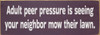 Adult peer pressure is seeing... | Bulk Funny Signs