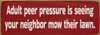 Adult peer pressure is seeing... | Bulk Funny Signs