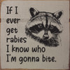 If I ever get rabies I know who I'm gonna bite (raccoon) | Funny Sawdust City Signs
