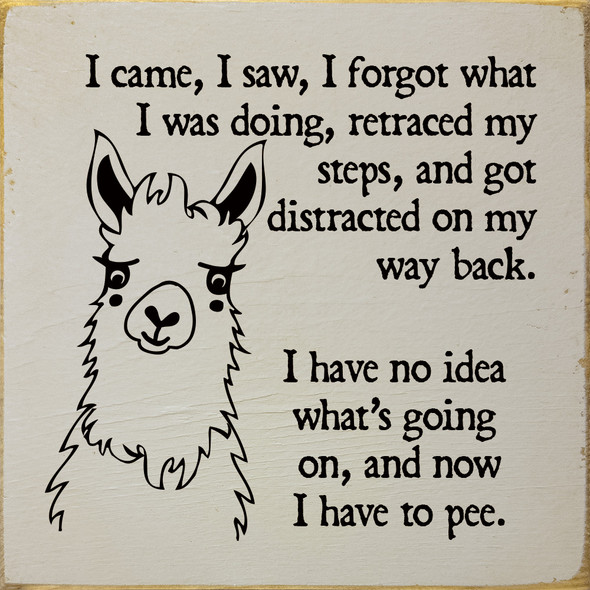 I came, I saw, I forgot what I was doing, retracted my steps...|Funny Wood Sign | Sawdust City Wood Signs Wholesale