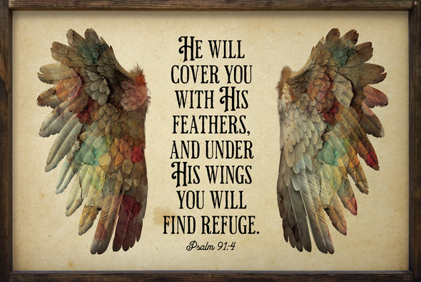 He Will Cover You With His Feathers... Psalm 91:4