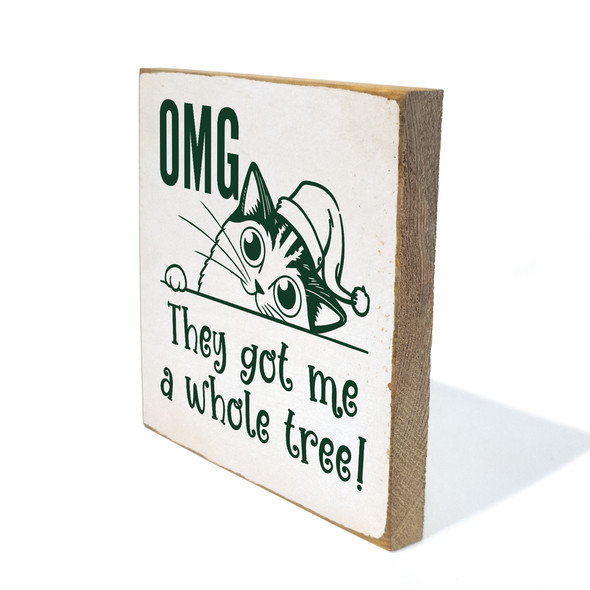 OMG they got me a whole tree! (cat)