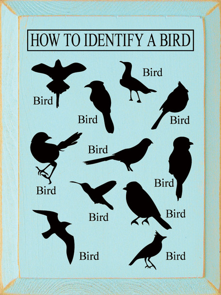 How to Identify a Bird (images of birds) | Wood Wholesale Signs | Sawdust City Wood Signs