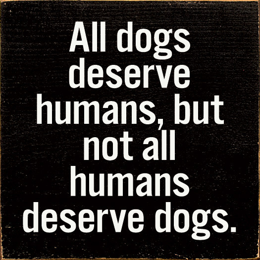 (未使用･未開封品)　Every Dog Has Her Da lok26k6 Kobe Welcome To The Family Dog Kit – Kikkerland Design Inc