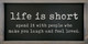 12x24 in. Framed Sign | Life Is Short Sign | Sawdust City Wood Signs